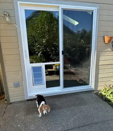 Sliding Door Handles